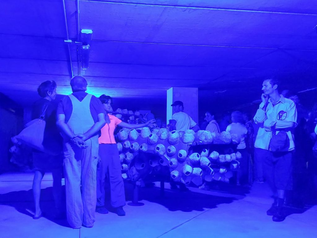 TERA PROMOSA   Inaugurazione   Performance Al Piano Interrato